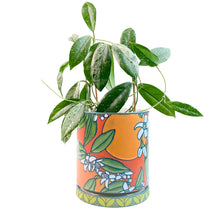 Load image into Gallery viewer, #33 Orange Blossoms Planter w. Drip Tray