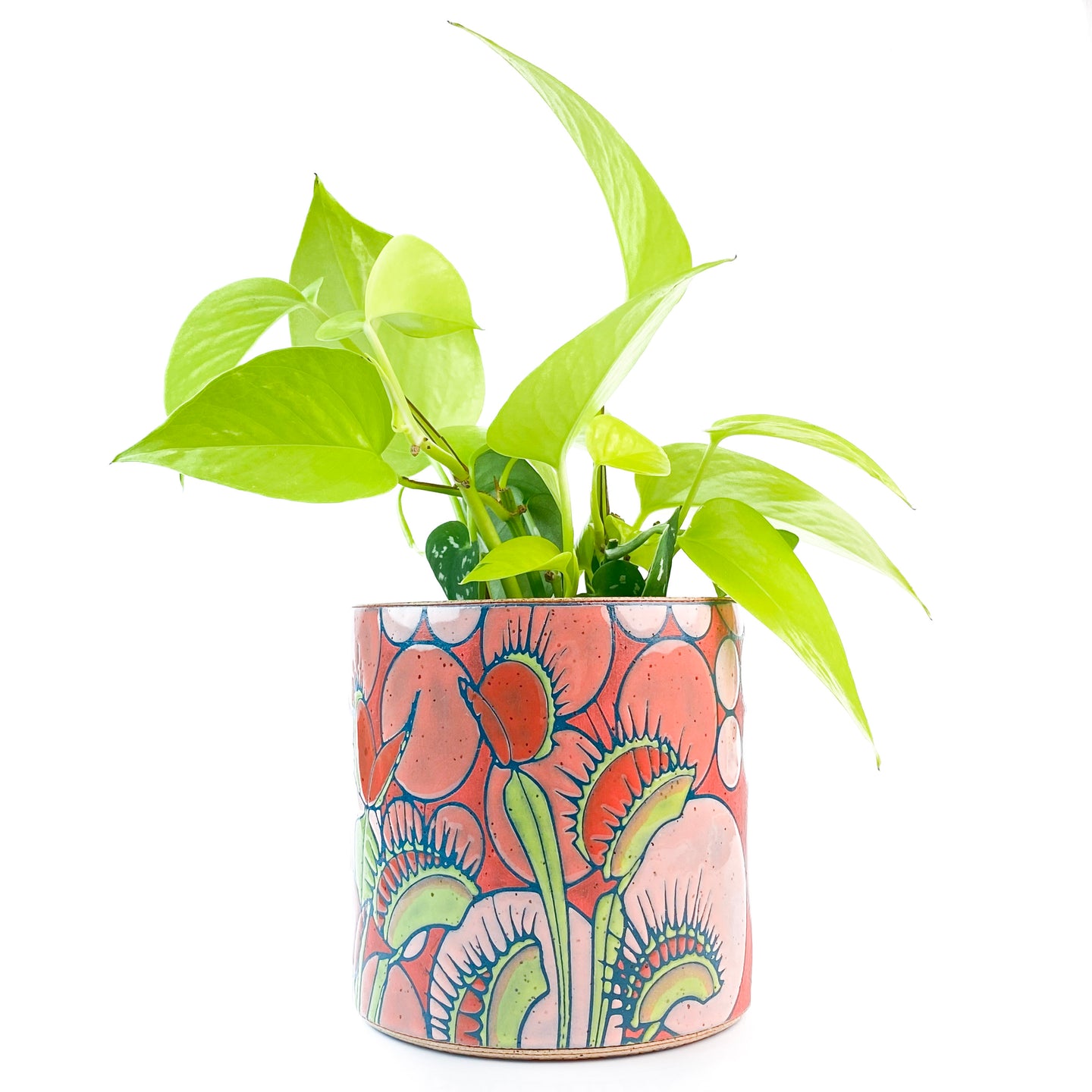 #53 Venus Fly Traps Planter