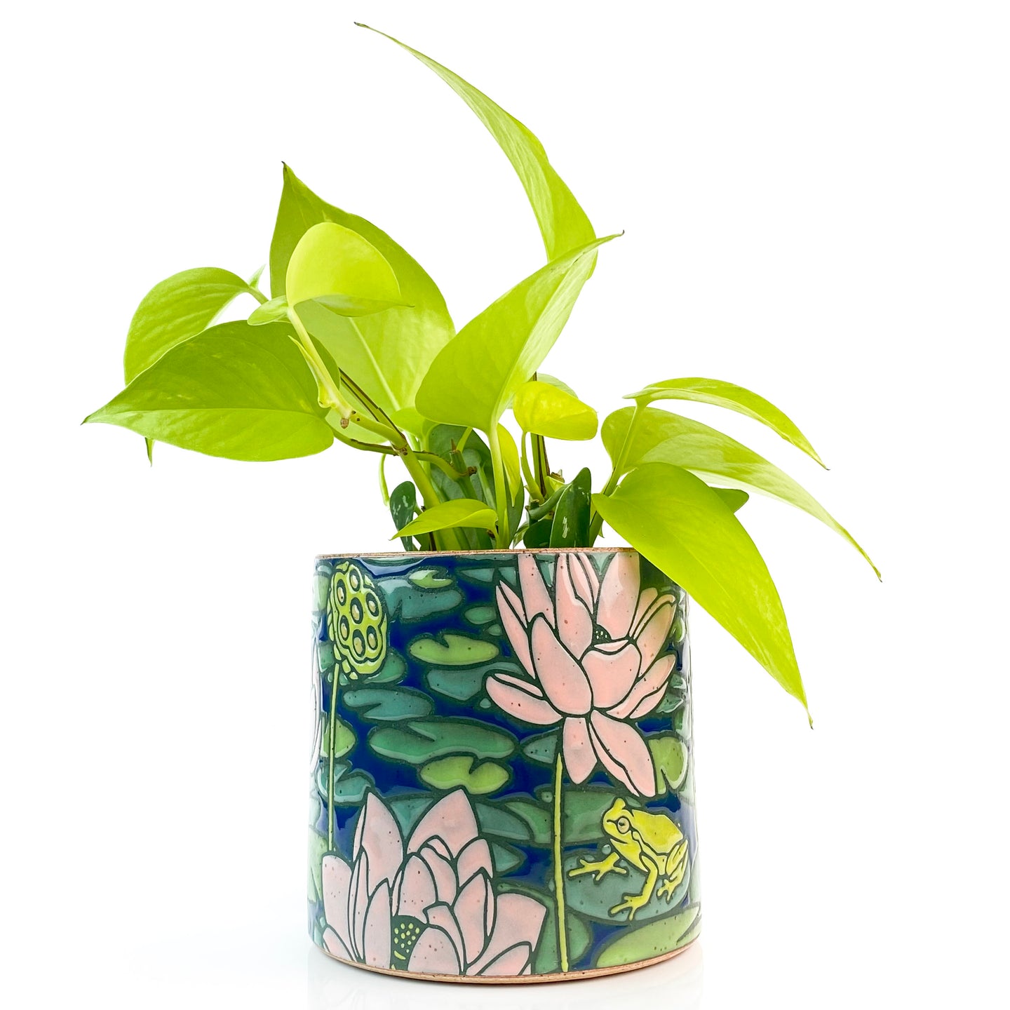 #54 Lotus & Frogs Planter