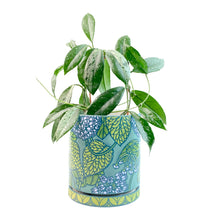 Load image into Gallery viewer, #27 Hoya Blossoms Planter w. Drip Tray