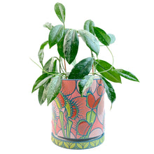 Load image into Gallery viewer, #29 Venus Fly Traps Planter w. Drip Tray